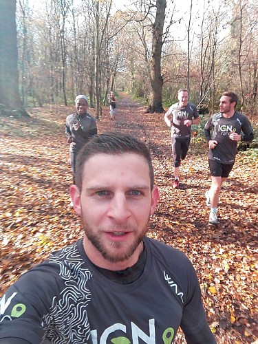 sentier dans le bois