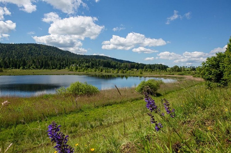 Lac des Rouges-Truites