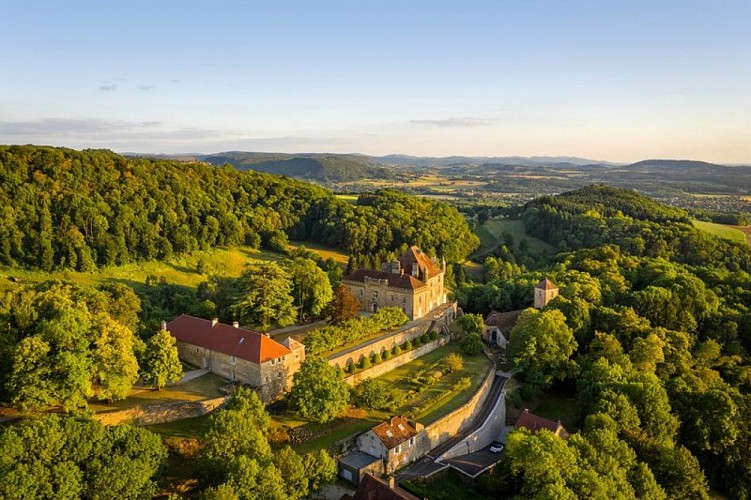 Château de Frontenay