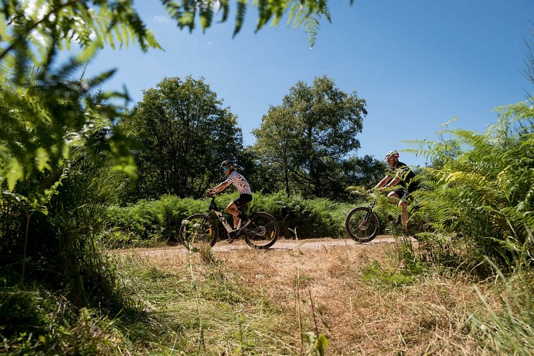 Balade en VTT au Crozet