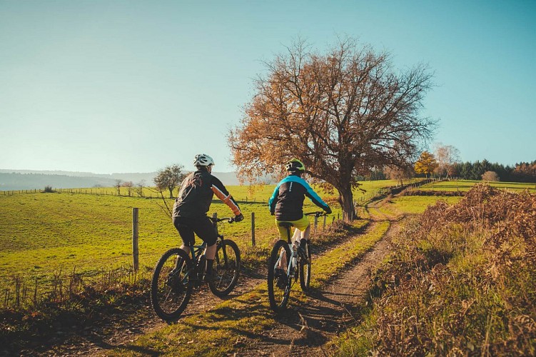 Balade en VTT à Montagny