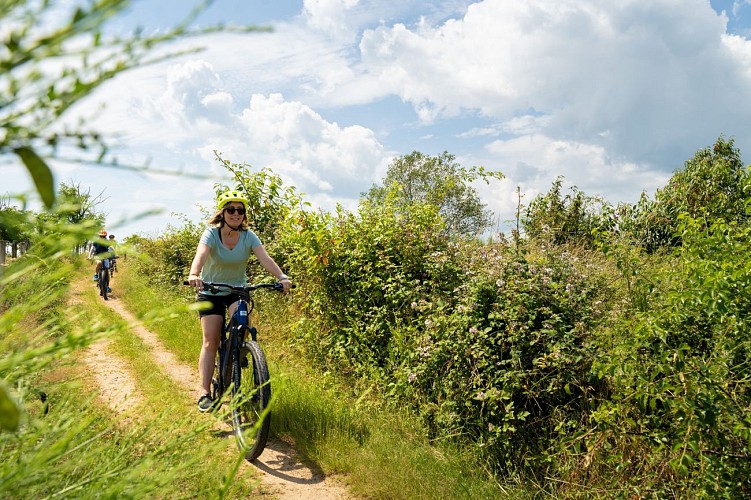 Balade VTT au cœur du Roannais