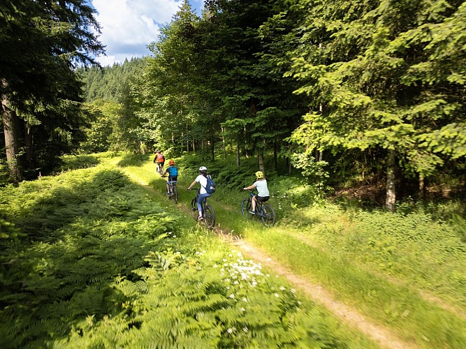 Balade VTT au cœur des Grands Murcins