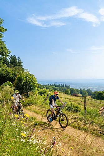 Balade VTT au cœur des Grands Murcins