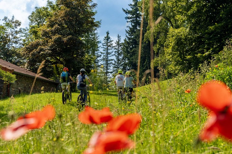 Balade VTT au cœur des Grands Murcins