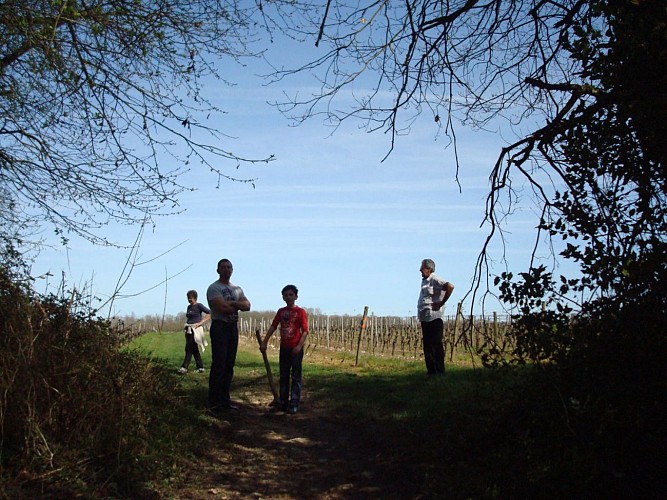 Balade dans les vignes à Thoré-la-Rochette