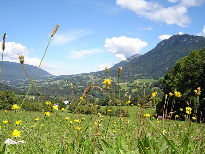 Vos échappées cyclo