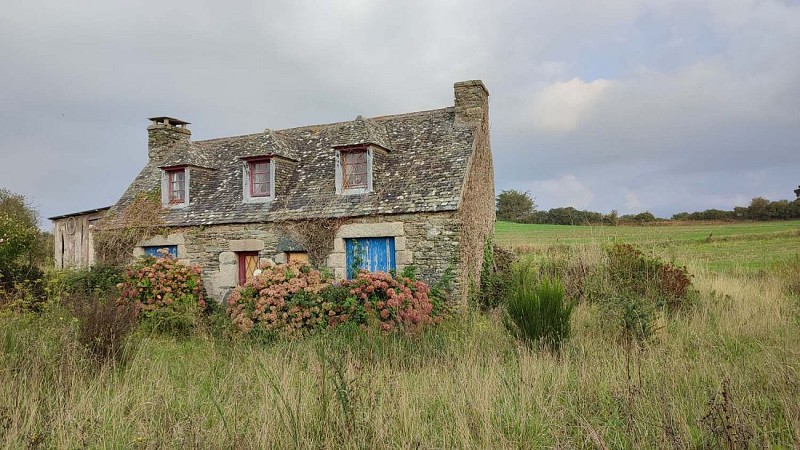 Habitation en plein champs - Pointe de l'Armorique - Plestin - 