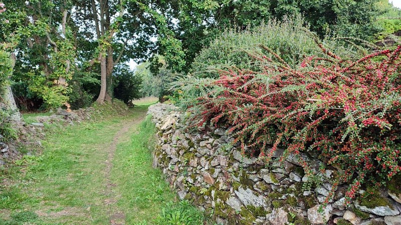 Chemin de promenade