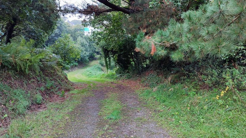 Chemin de promenade