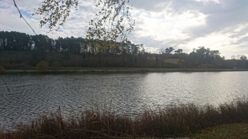 A Etang de Fossemagne