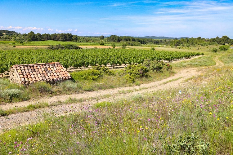 15a / Sainte-Valière : la petite caminade