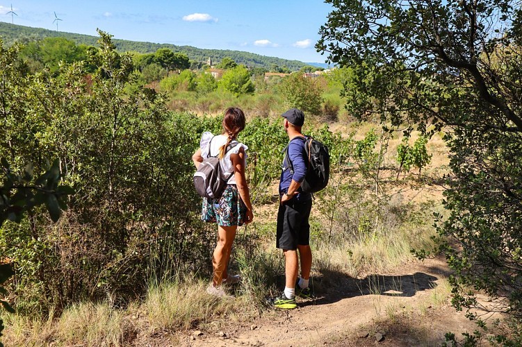 15a / Sainte-Valière : la petite caminade