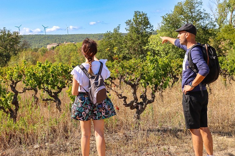15a / Sainte-Valière : la petite caminade