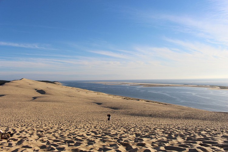 Paysage en crête de dune