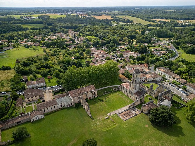 53834910083_0b97a12362_c