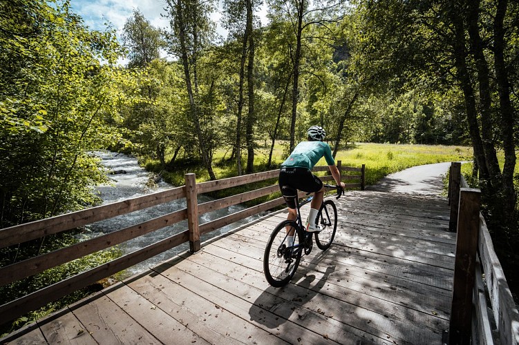 Pont en bois à Villaroger
