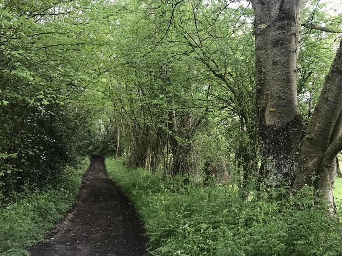 boucle-saint-aubin-Cernay1