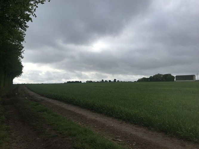 boucle-saint-aubin-Cernay4