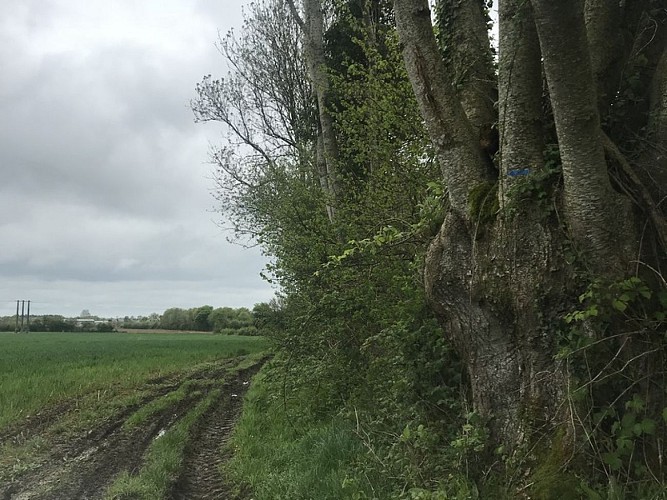 boucle-saint-aubin-Cernay3