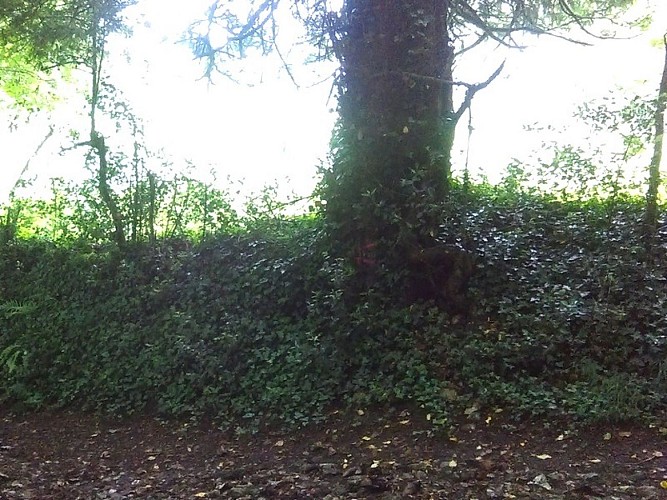 ruisseau-du-moulin-de-bailleul-Coquainvilliers1-2