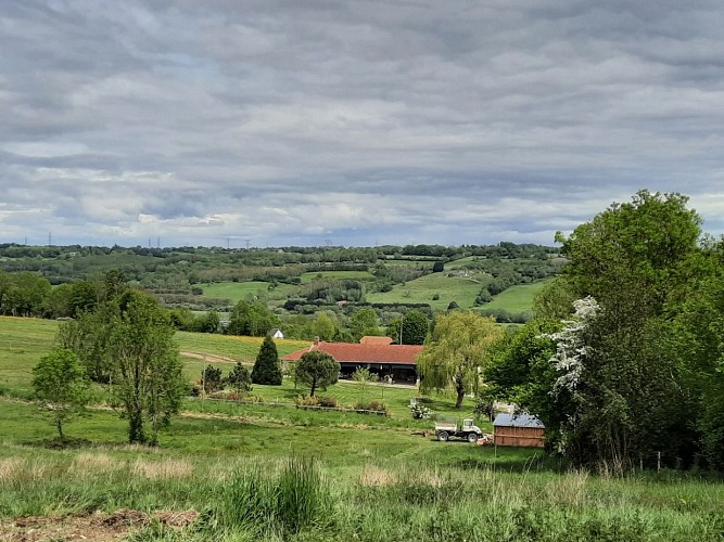 Vue campagne normande Ouilly le Vicomte@CélineBlot