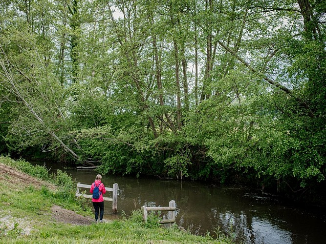 Dans les yeux de Therese saint martin de la lieue Touques