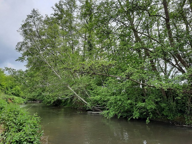 Rivière de la Touques