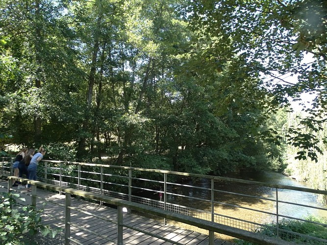 Lisieux balade le long de la Touques