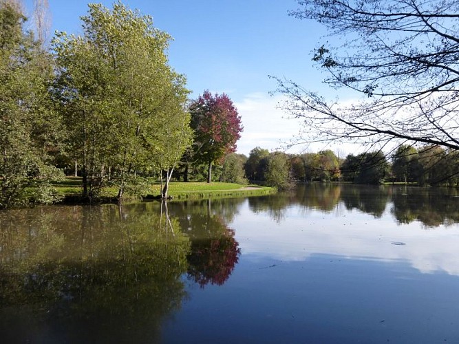 Etang du parc municipal Condé-sur-Noireau