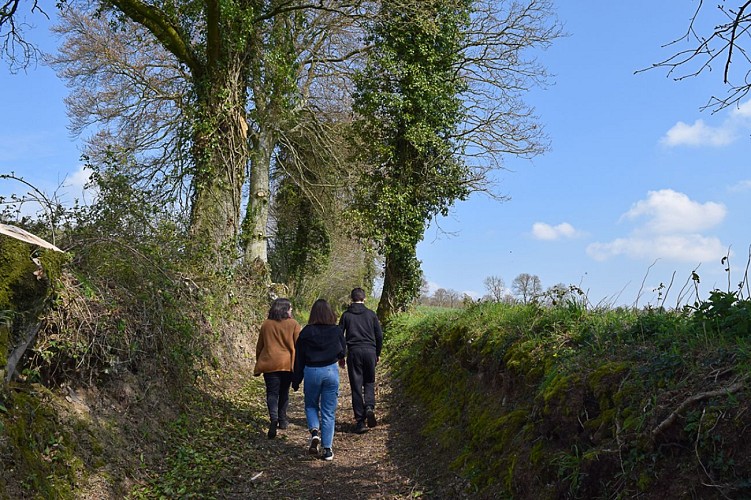 2023-OTPV-Lemiere-Promenade-Caumont-2-05 TIS