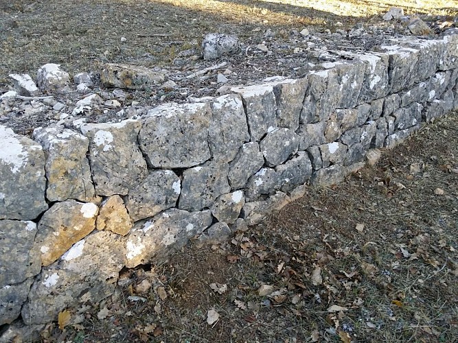 Oliveraies, restanques et recavades du Pays d'Entrecasteaux