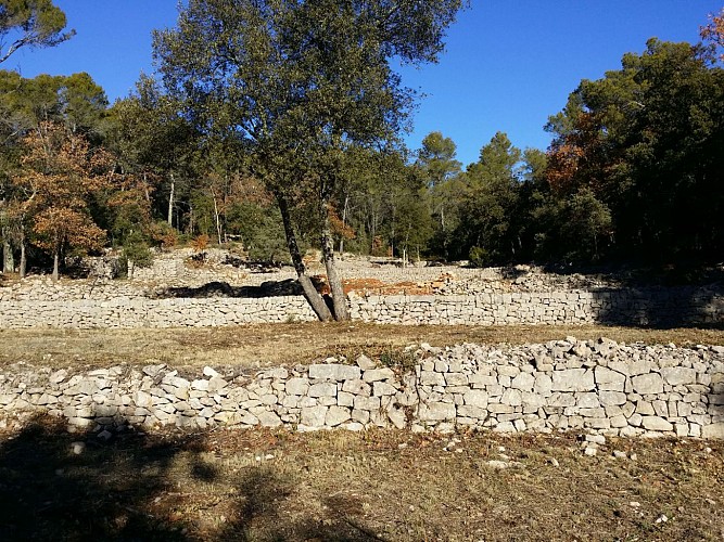 Oliveraies, restanques et recavades du Pays d'Entrecasteaux