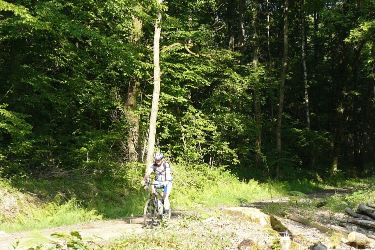 Circuit VTT-VTC n°3 (bleu) - Entre lacs et forêts