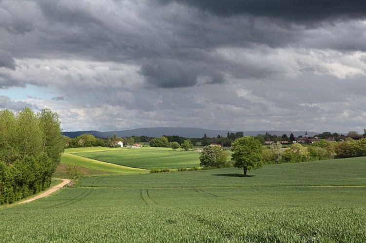 Circuit VTT-VTC n°2 (bleu) - Grand tour des lacs