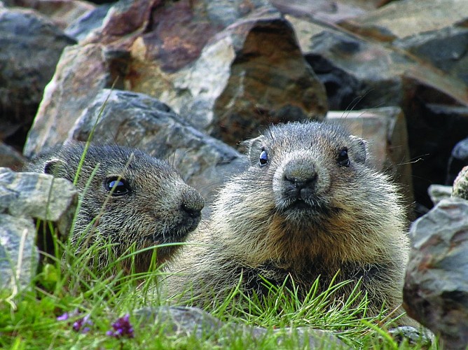 AUTOUR DU COL DU TOURMALET ET LA VALLEE DE BAREGES