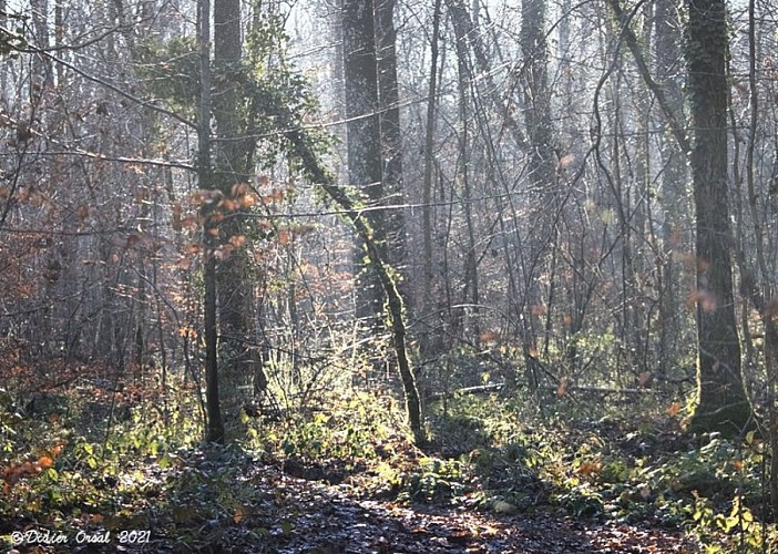 Le fief du duc de Saint-Simon