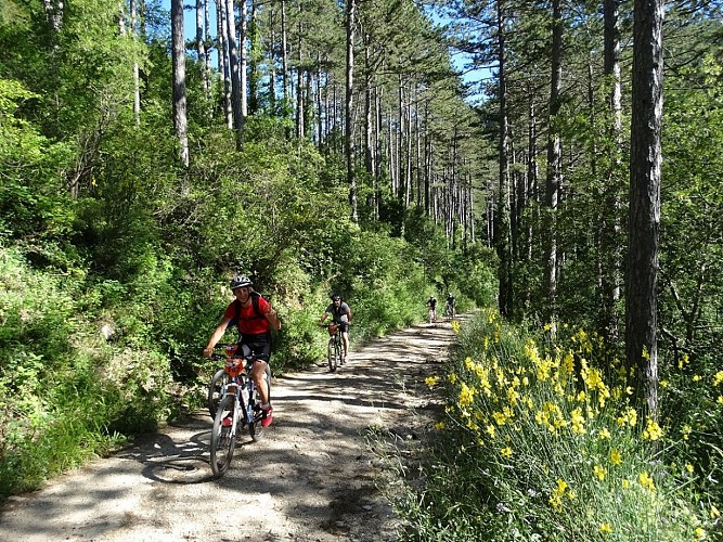 CIRCUIT NOTRE DAME DE PARLATGES - ESPACE VTT-FFC LODEVOIS ET LARZAC