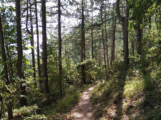 CIRCUIT NOTRE DAME DE PARLATGES - ESPACE VTT-FFC LODEVOIS ET LARZAC