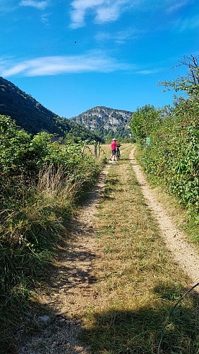 Mountain bike link (L6) Ile Chambod - Viaduc de Cize Bolozon