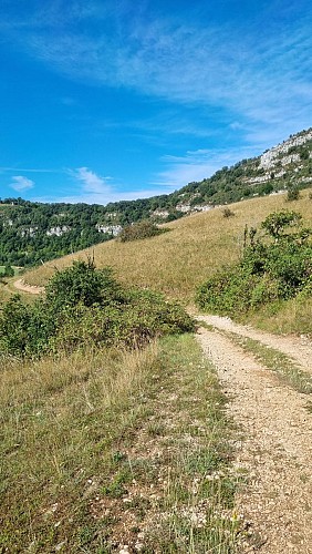 Mountain bike link (L6) Ile Chambod - Viaduc de Cize Bolozon