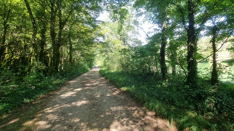 Mountain bike link (L6) Ile Chambod - Viaduc de Cize Bolozon