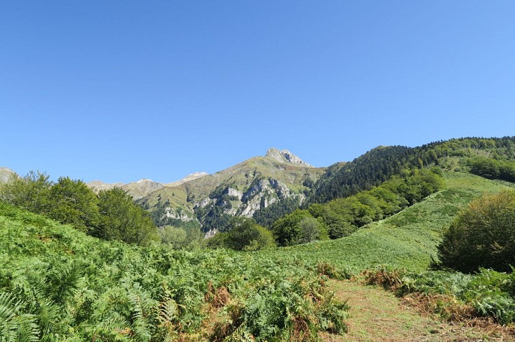 N61Remonte╠üe de la fougeraie