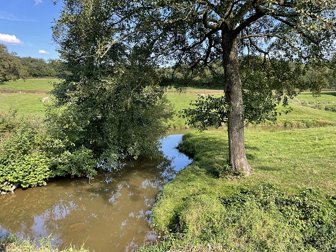 Balades vertes Marigny : Histoires d'eau