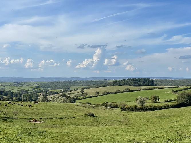 Balades Vertes Marigny : au couchant
