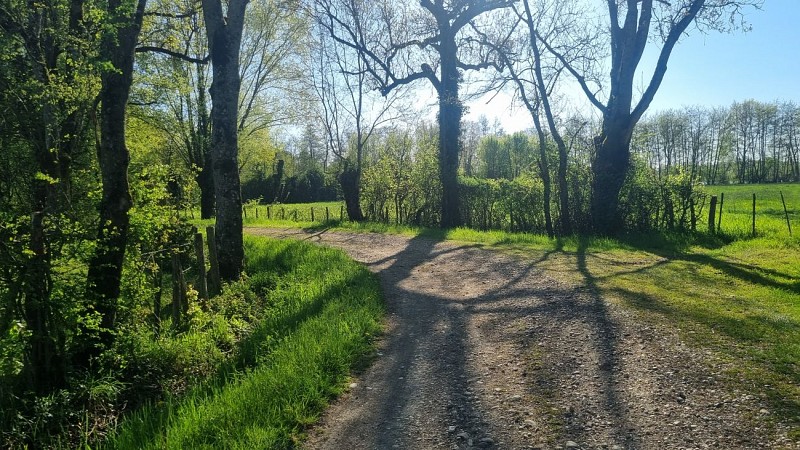 Liaison VTT-VTC (L2) - La Plaine Tonique Plan d'eau de Mépillat