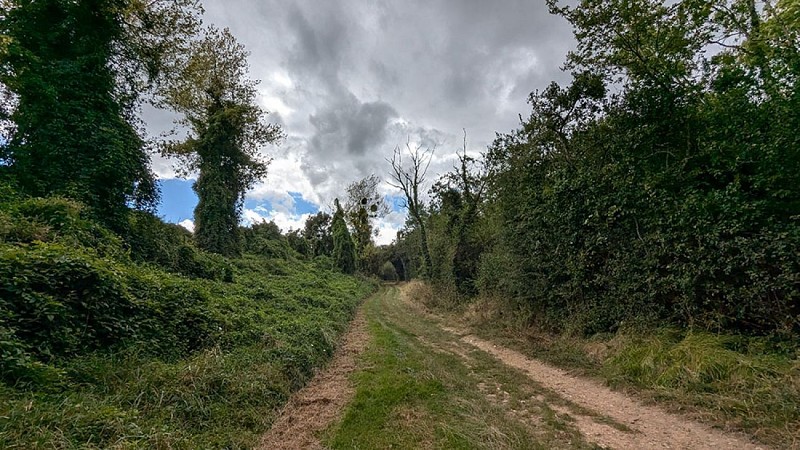 Arrivée du circuit de Cerny