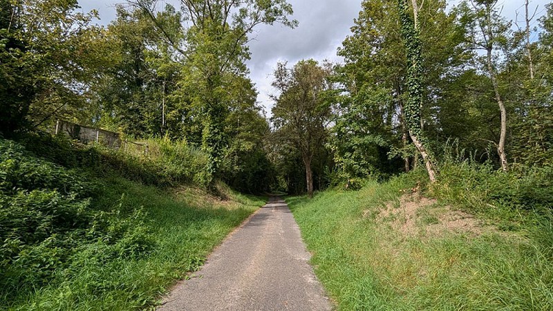 Route du circuit de Cerny