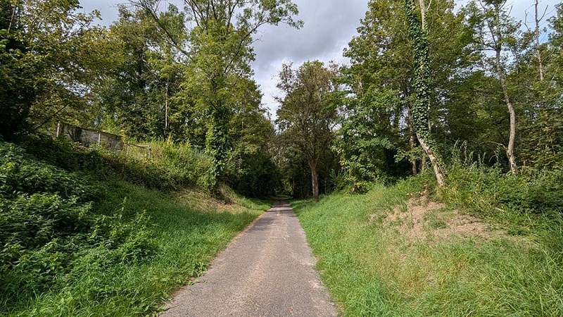 Route du circuit de Cerny