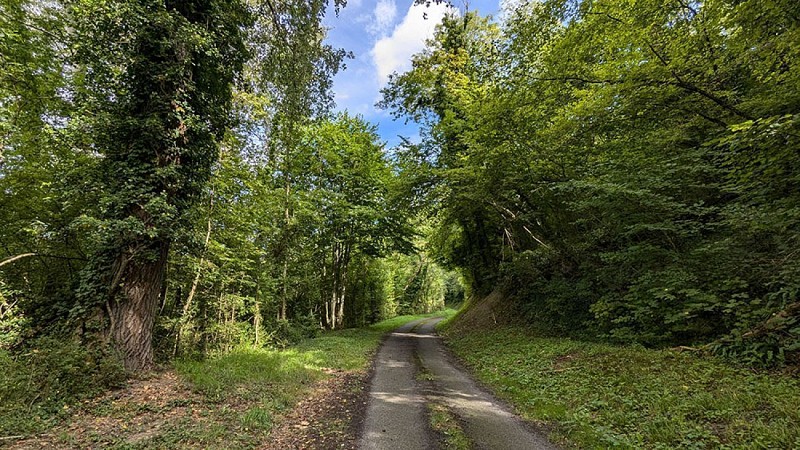 Route du circuit de Cerny II